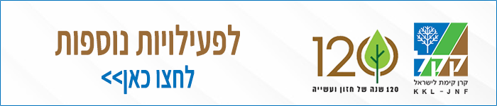 לפעילות נוספת