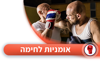 אומנויות לחימה
