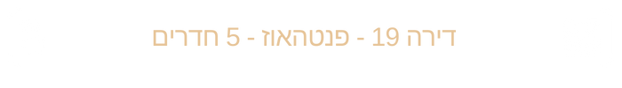 דירה 19 - 5 חדרים