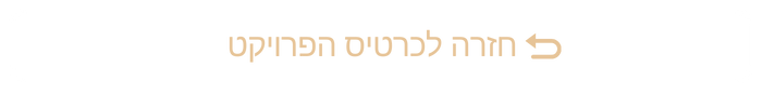 חזרה לכרטיס פרויקט