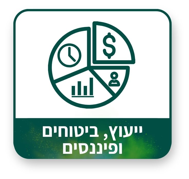 שירותים מקצועיים