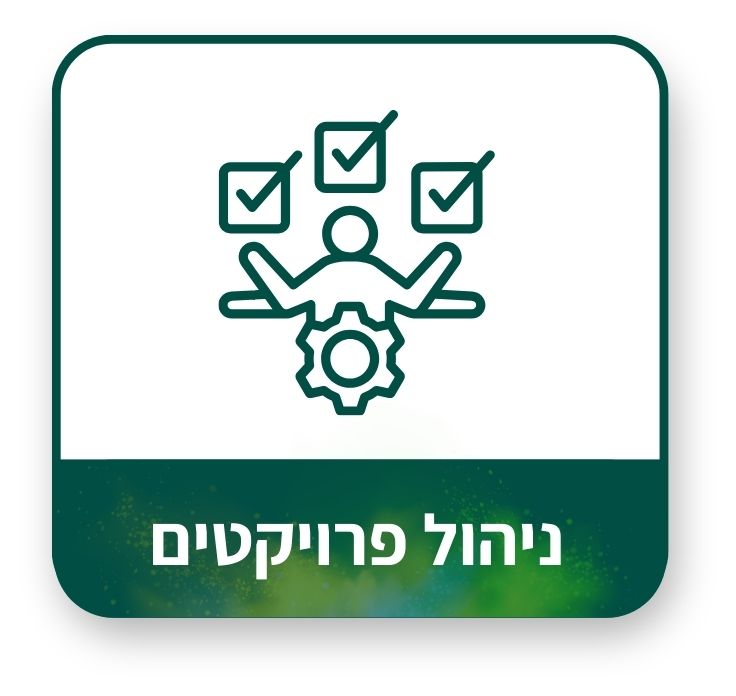 ניהול פרויקטים