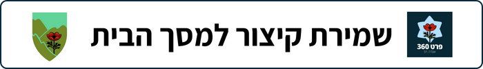 שמירה למסך הבית