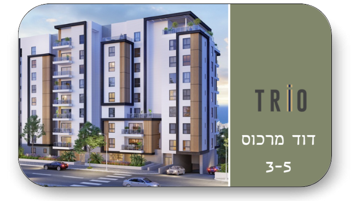 דוד מרכוס