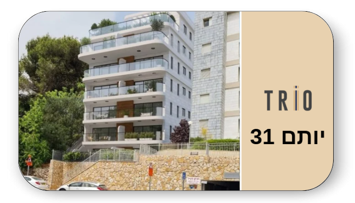 יותם 31