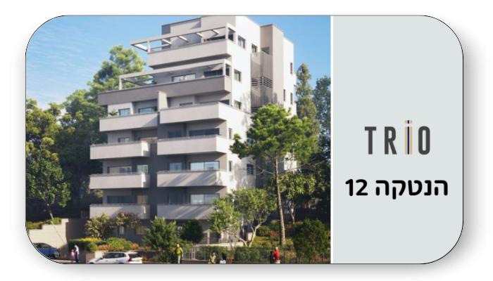 הנטקה 12