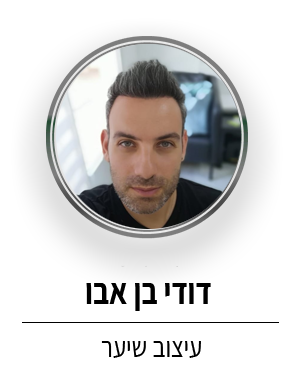 דודי בן אבו